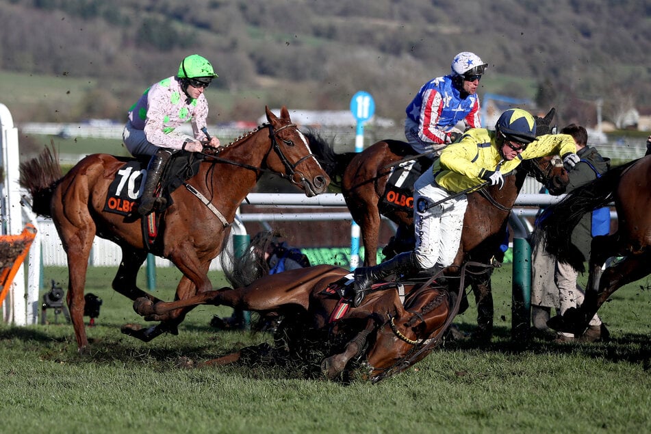 Das Cheltenham Festival lockte auch dieses Jahr unzählige Pferdesport-Begeisterte an.