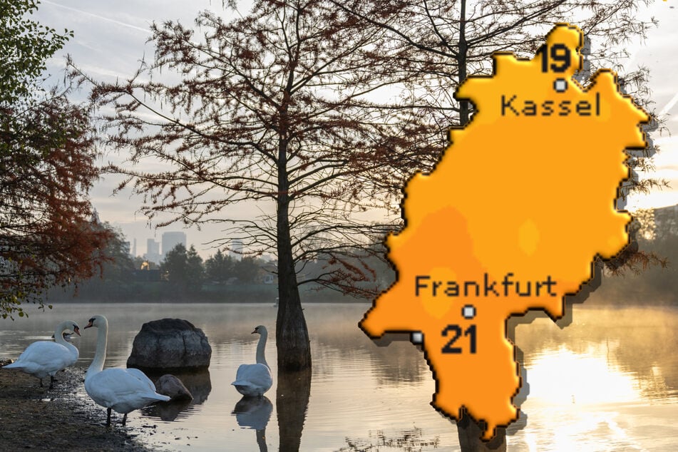 Zur Mitte der Woche zeigt sich die Sonne in Hessen immer häufiger - so wie hier am Rebstockweiher in Frankfurt. Am wärmsten wird es dabei am heutigen Montag mit Temperaturen über 20 Grad.