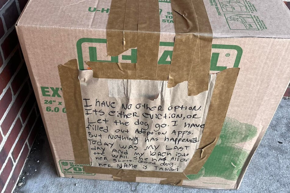 Esta caja bien etiquetada estaba frente al refugio de animales.