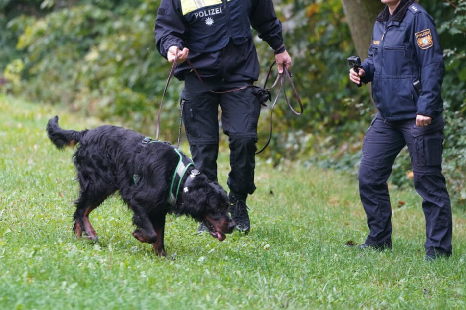 Seit Samstagvormittag sucht die Polizei mit Hunden auf dem Gelände des Happurger Baggersees nach Hinweisen.