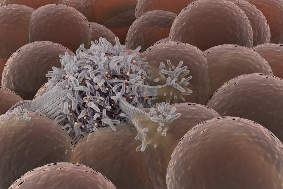 Darstellung einer Krebszelle, die sich unter gesunden Zellstammzellen ausbreitet.