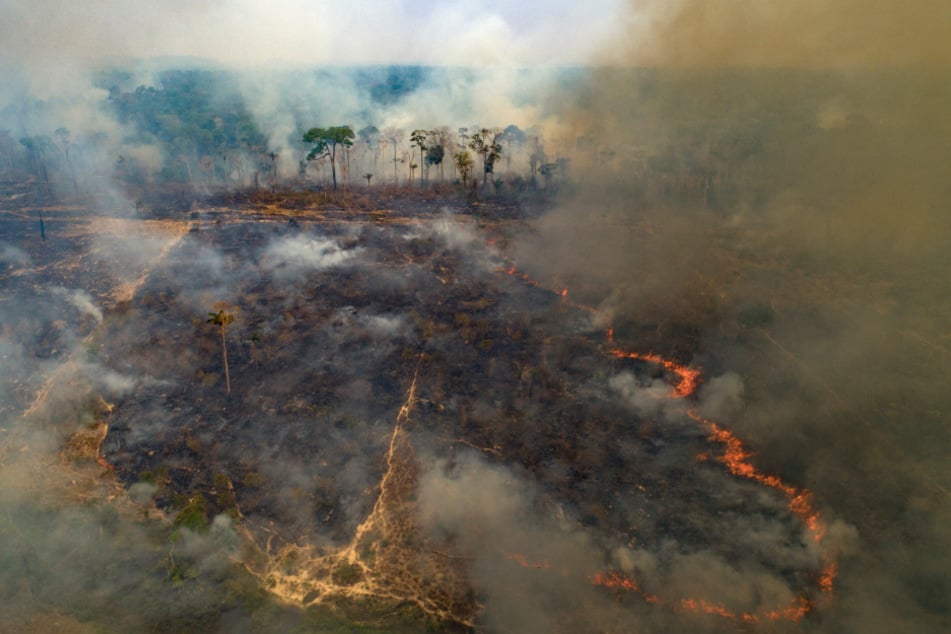 Fires are surging in the Amazon region.