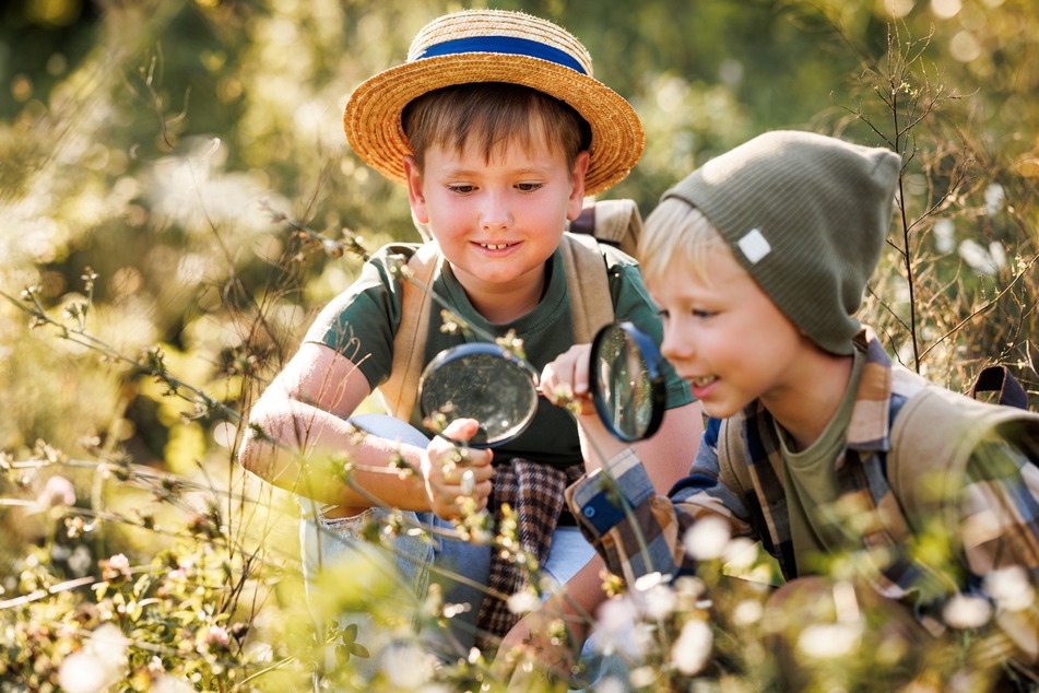 Eine andere Idee für den Kindergeburtstag ist es, die Kinder in der Natur auf Entdeckungsreise zu schicken.