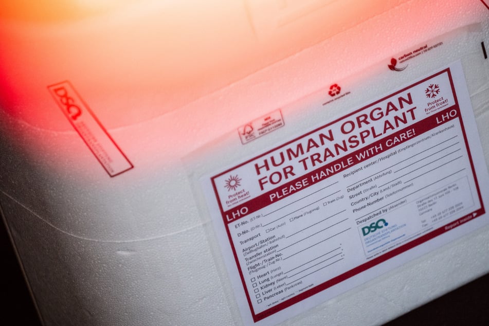 Stiftung schlägt Alarm: So lange muss man in Bayern auf eine Niere warten