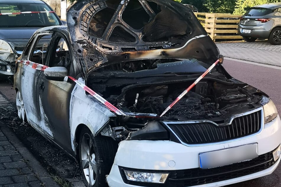 Auch dieses Auto wurde durch die Flammen komplett zerstört.