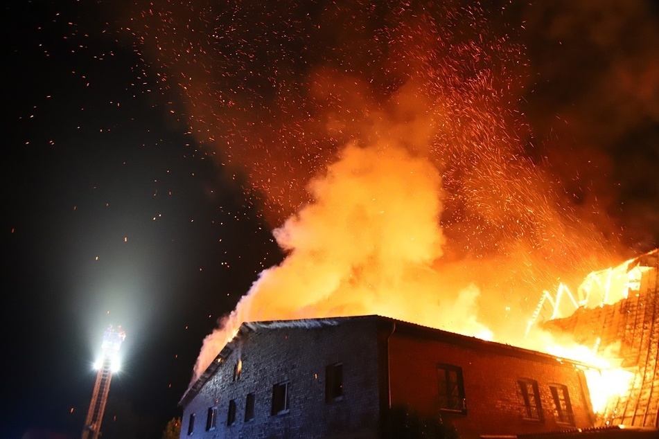 Feuer zerstört Wohneinrichtung für Jugendliche: Einsatzkräfte retten Hamster