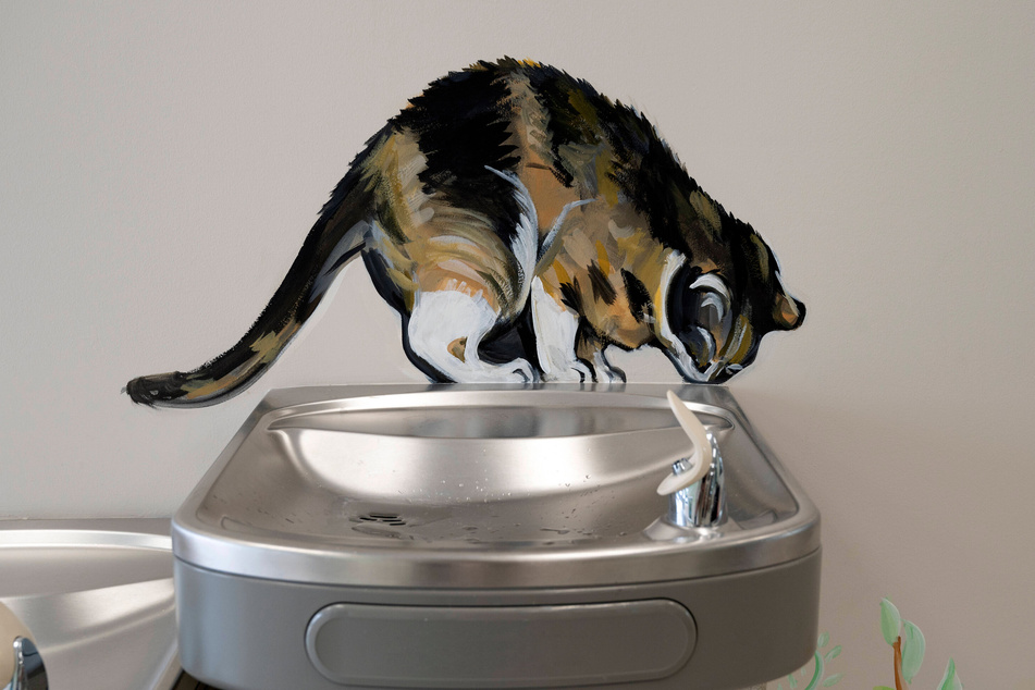 Cats have been known to drink from human water fountains too!