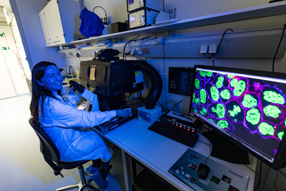 Dr. Sandra Hauser (36) am CLSM - Laser-Scanning-Mikroskop. Durch die Forschungen am HZDR können die Leben vieler Krebs-Patienten gerettet werden.