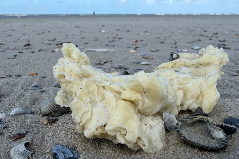 Schon wieder: Weiße Klumpen an Stränden von Nordseeinseln angespült