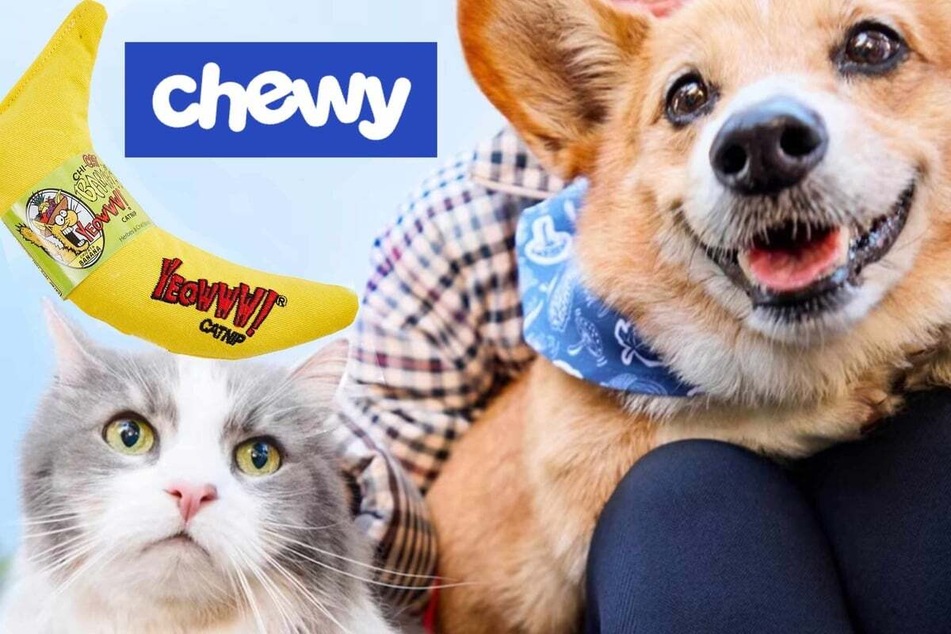 Chewy also has a Spring Sale and Chewy Exclusives to cash in on.