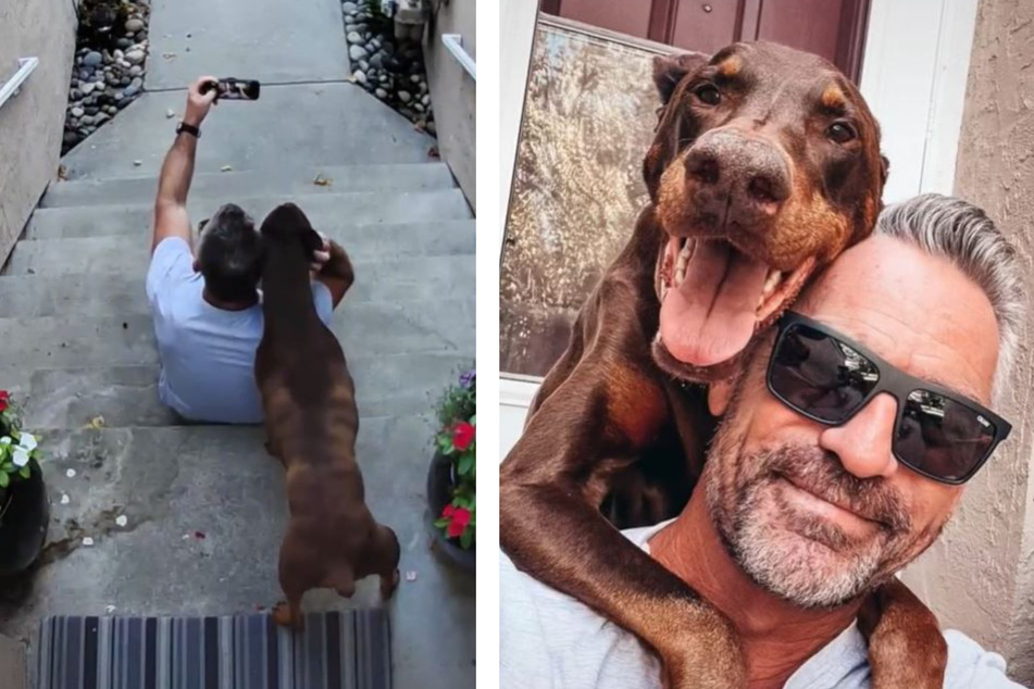 Mann schießt Selfies mit seinem Hund: Was wenig später geschieht, bricht allen das Herz