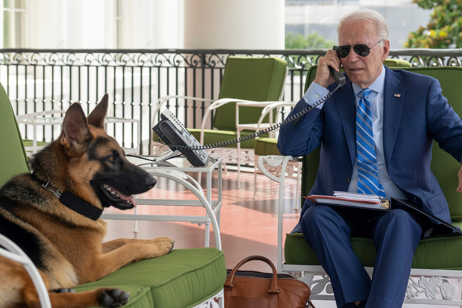 Joe Bidens Schäferhund "Commander" wurde des Weißen Hauses verwiesen. Mindestens 24-mal soll er Angestellte des Secret Service attackiert haben.