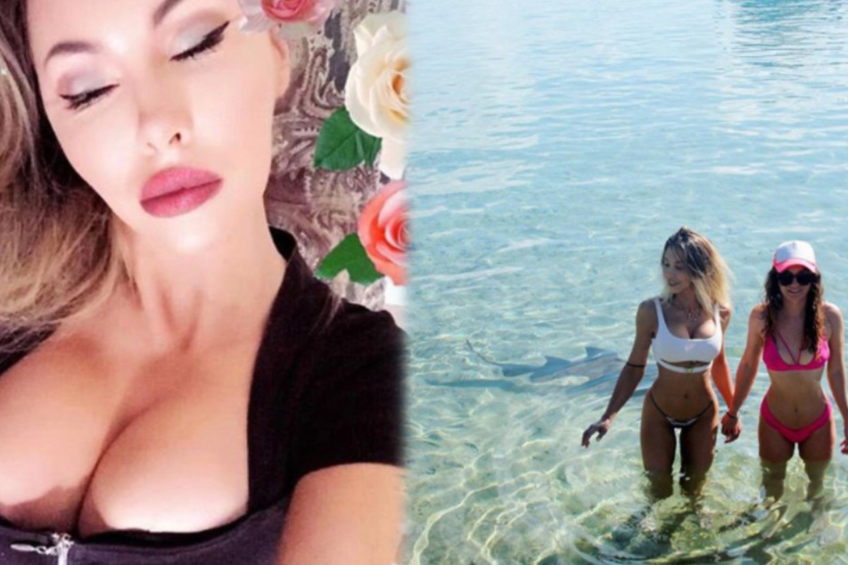 Hinter den beiden Frauen schwimmt tatsächlich ein Hai!