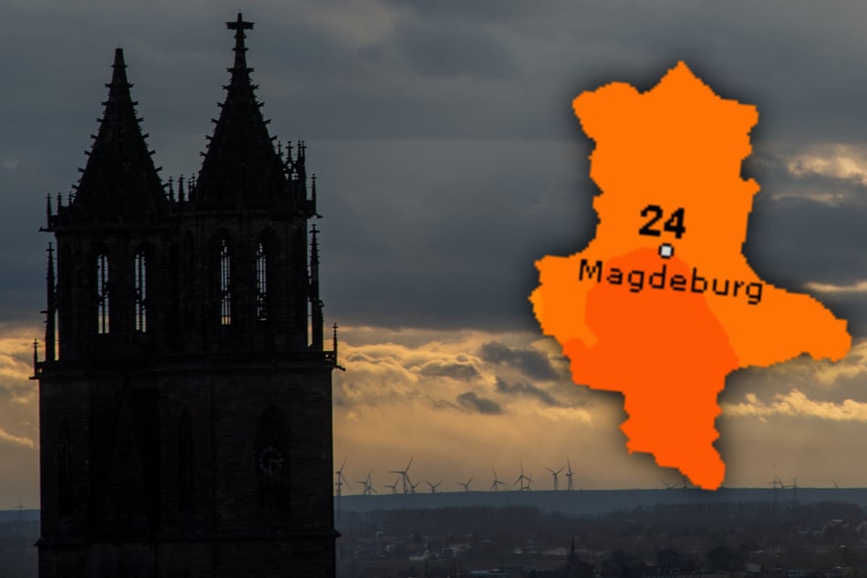 Sachsen-Anhalt geht in dieser Woche von Tag zu Tag immer einen Schritt in Richtung Sommer. (Symbolbild)