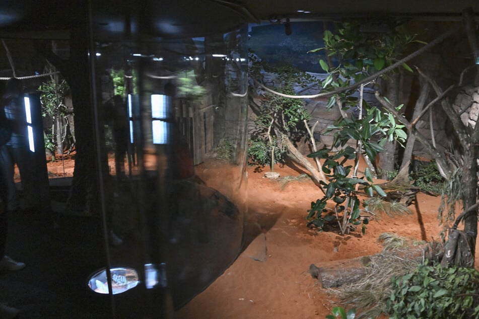 Im Innengehege des Australienhauses Terra Australis in der Wilhelma Stuttgart wurden an unterschiedlichen Tagen Kinder verletzt.