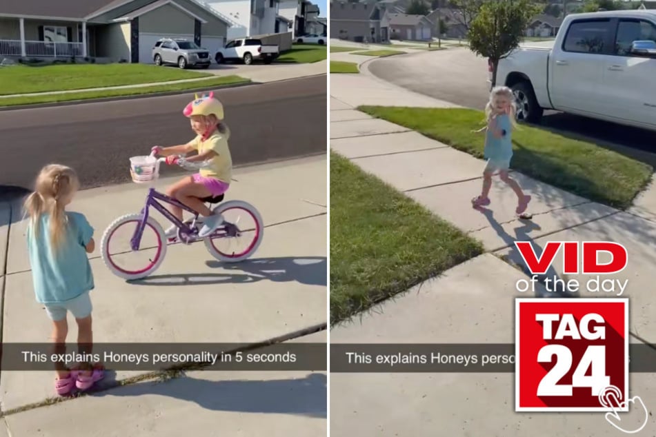 This little girl made a new friend in seconds!