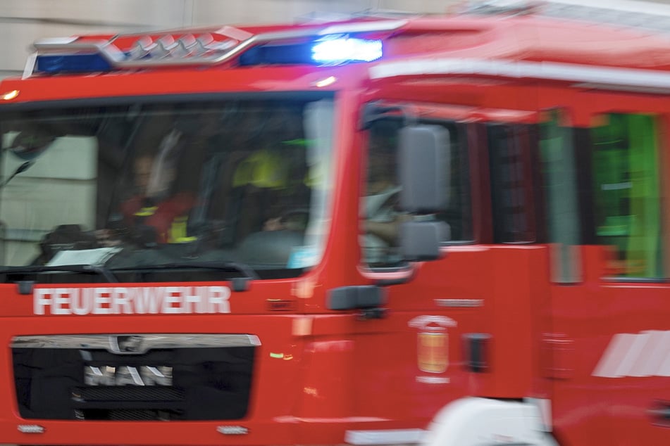 Am heutigen Mittwoch mussten ein Hund und zwei Katzen von der Hamburger Feuerwehr von einem brennenden Balkon in der Schanze gerettet werden.