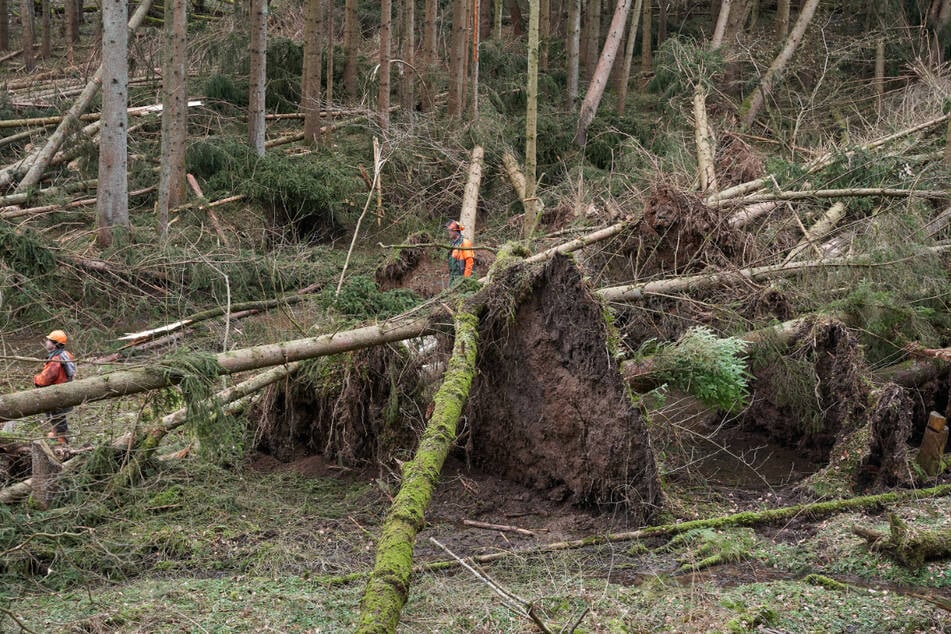Waldbesitzern soll nach Unwetterschäden geholfen werden. (Symbolbild)