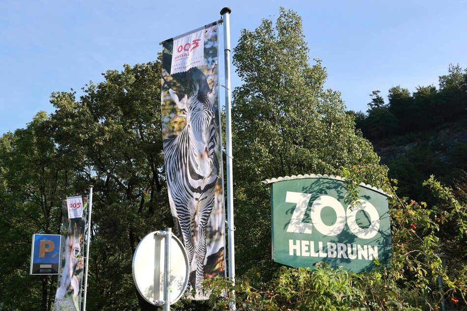 Mitarbeiter des Zoos Salzburg Hellbrunn stehen noch immer unter Schock.