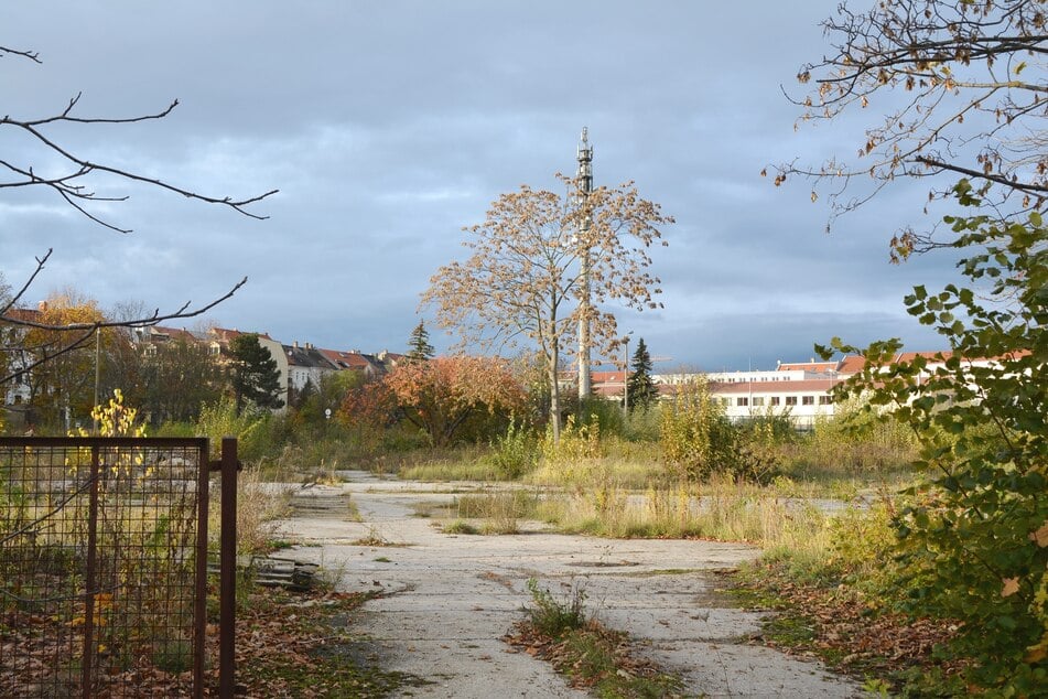 Zwischen der Schwimmhalle Südost in der Kolmstraße und der Wendeschleife der Straßenbahnlinie 4 in der Holzhäuser Straße soll ein nagelneues Wohngebiet mit Oberschule, Sportstätte und Kita entstehen.