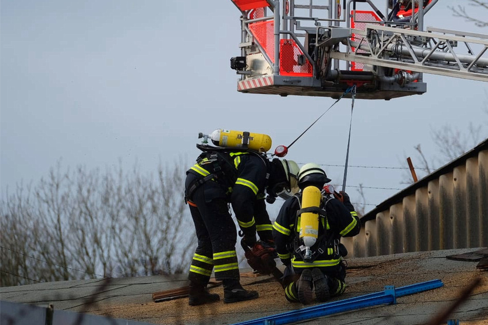 Hamburg: Großbrand beim Schrotthändler: Feuerwehr muss das Dach aufbrechen