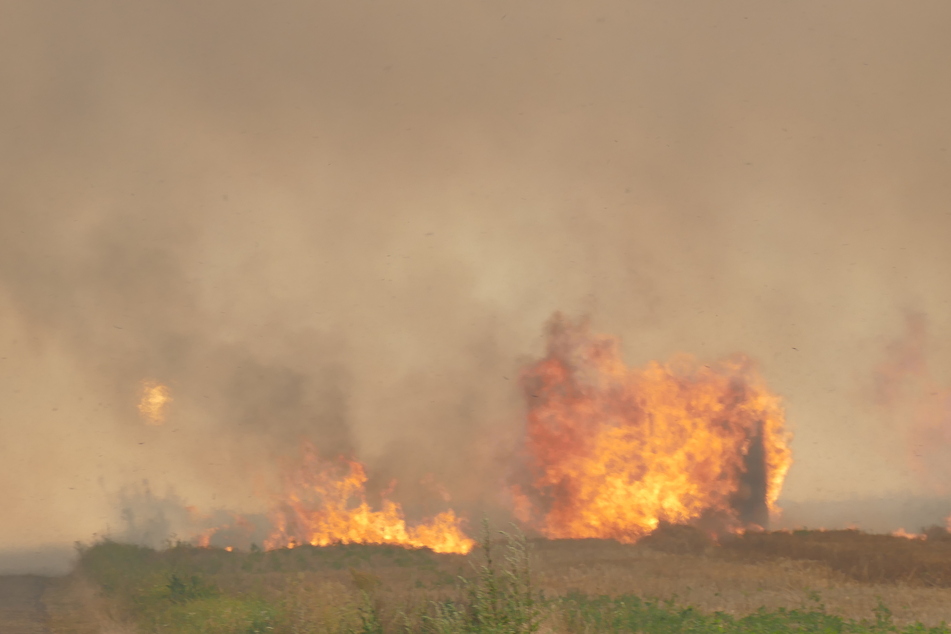 Riesiger Brand: 170.000 Quadratmeter Feld fingen Feuer