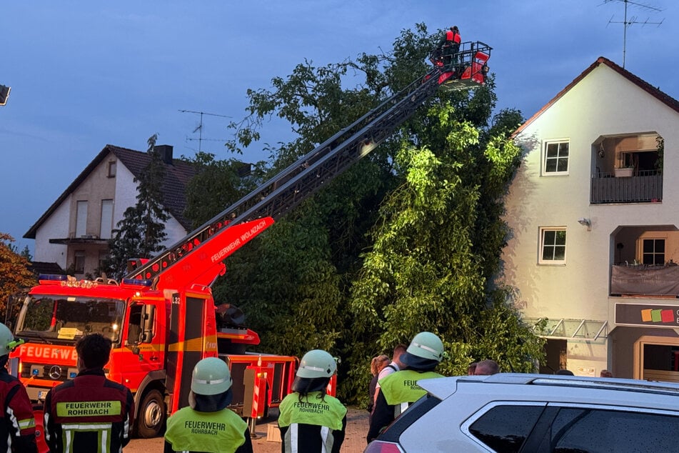Die Bewohner mussten das Haus vorsorglich verlassen, während sich die Einsatzkräfte sich um den Baum kümmerten.