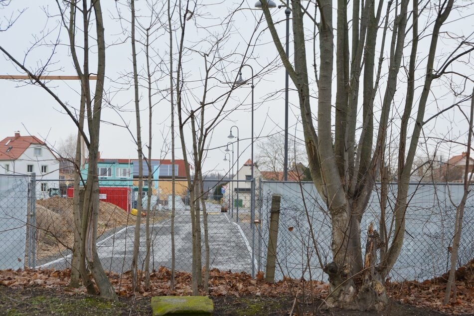 Das umstrittene Neubaugebiet für 50 Einfamilienhäuser - hier wurde der Baustopp verhängt.