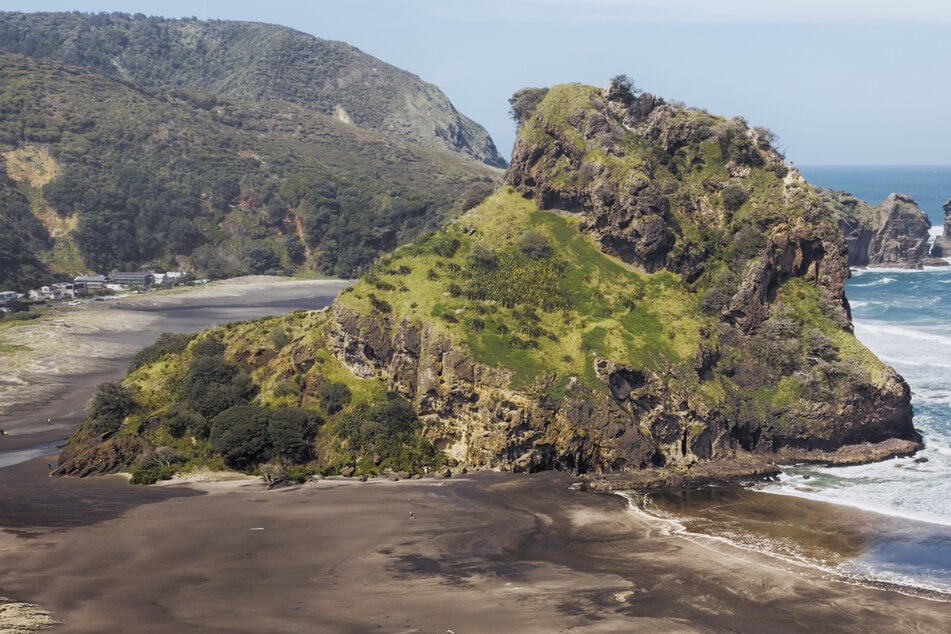 Neuseeland ist bekannt für seine artenreiche Flora und Fauna, doch invasive Tiere, die sich in dem Land verbreiten, bedrohen diese Artenvielfalt. Jetzt fühlt sich die Regierung dazu gezwungen, etwas gegen die "Einwanderer" zu unternehmen. (Archivbild)