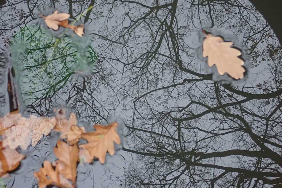 In Sachsen startet die Woche mit Wolken, Regen und Sturmböen. (Symbolbild)