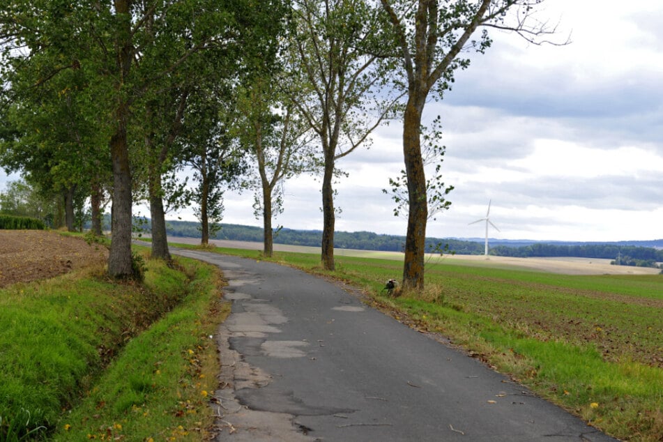 Der KTM-Fahrer verlor die Kontrolle und krachte gegen einen Baum.