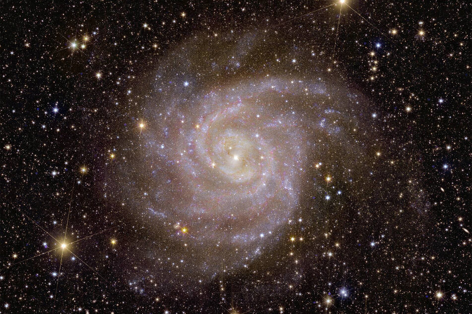 Eine weitere Aufnahme von "Euclid" zeigt die Spiralgalaxie IC 342 oder Caldwell 5.