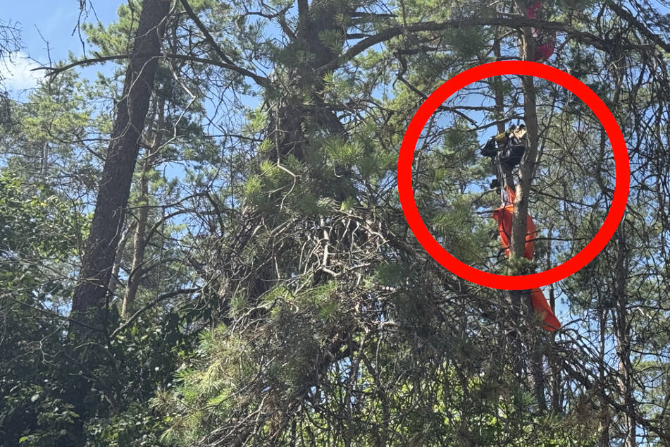 Gleitschirmflieger stürzt ab und bleibt in Kiefer hängen