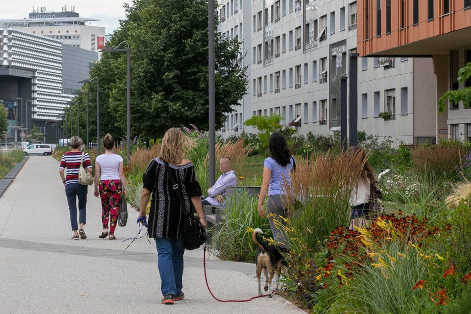 In der Innenstadt in ein grüner Promenadenring entstanden.