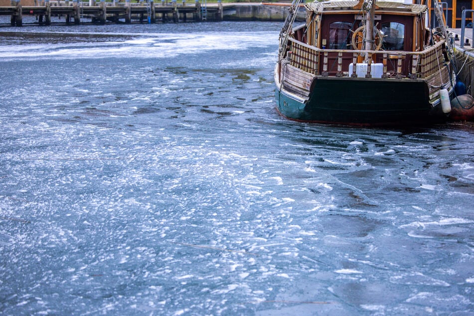 Im fast leeren Hafen auf der Ostseeinsel Poel hat sich eine dünne Eisschicht gebildet.