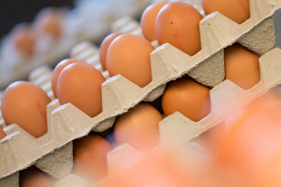 Im Südwesten sieht es hinsichtlich der Eierproduktion alles andere als rosig aus. (Symbolbild)