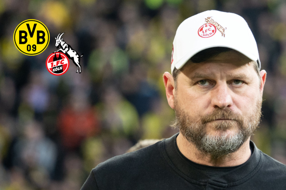 Steffen Baumgart wütet nach Kölner Pleite beim BVB: "Haben den Arsch voll gekriegt"