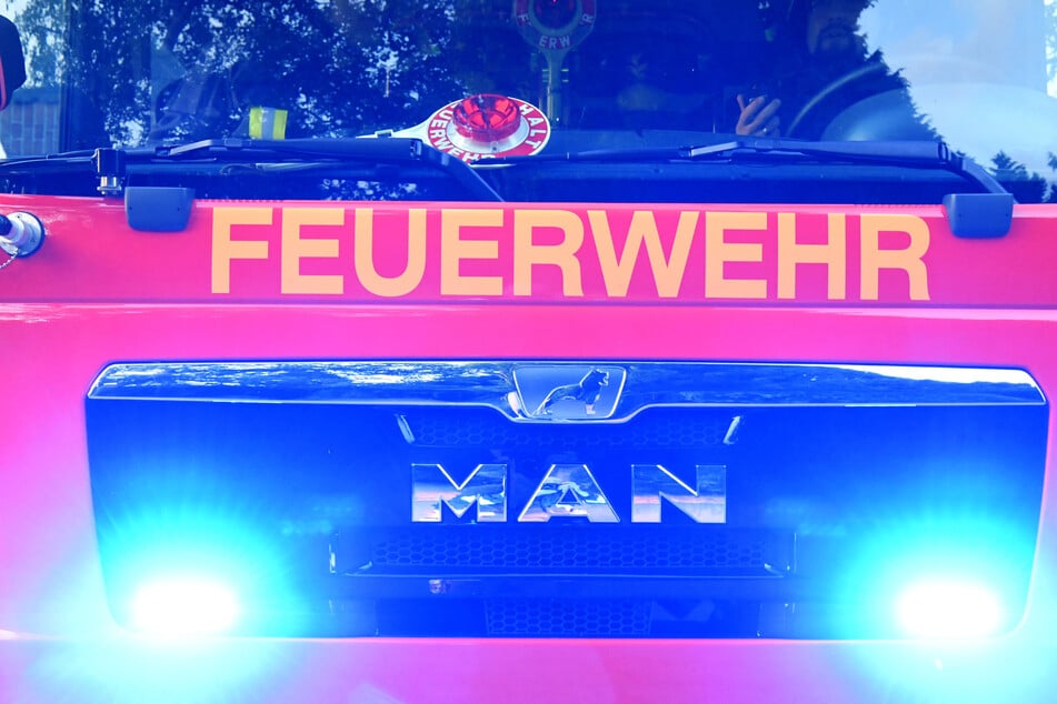 Tragisches Unglück: Mann und Katze sterben bei Wohnungsbrand