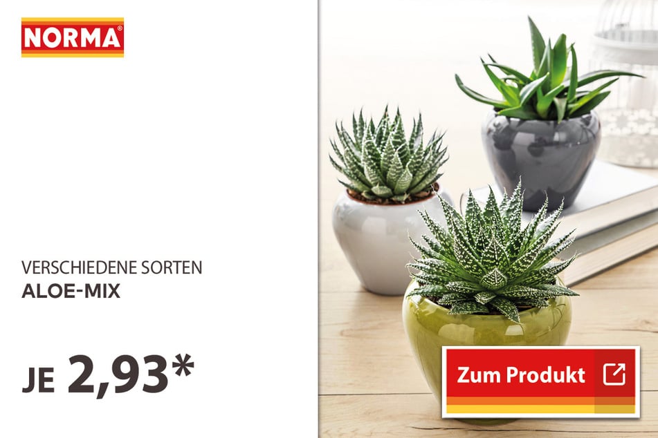 Aloe-Mix für 2,93 Euro.