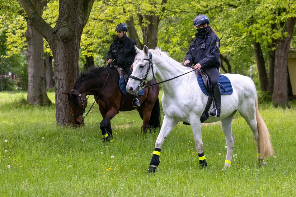 Zwei Polizistinnen sind mit ihren Rössern unterwegs.