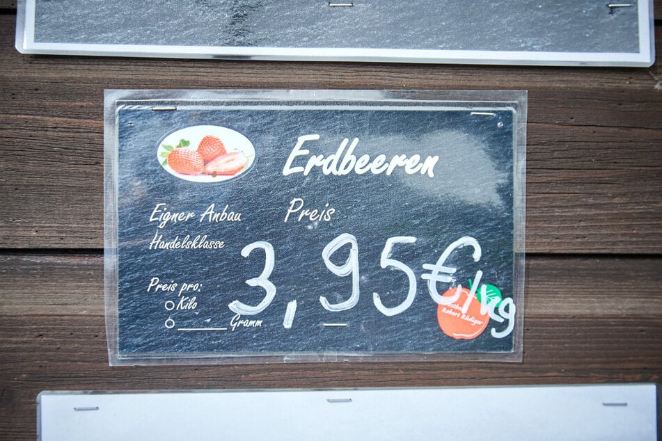 Vor fünf Jahren kosteten die Erdbeeren zum Selbstpflücken beim Obstbau Robert Rüdiger noch 3,95 Euro.