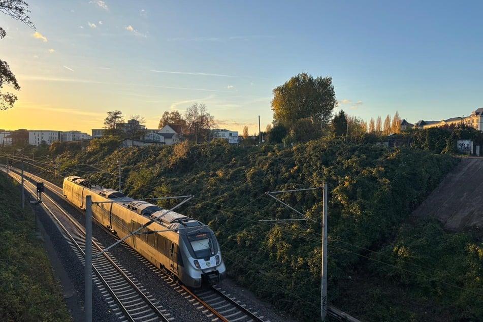 Die Abrissarbeiten der alten Brücke konnten nur in den Sperrpausen der Bahn durchgeführt werden.