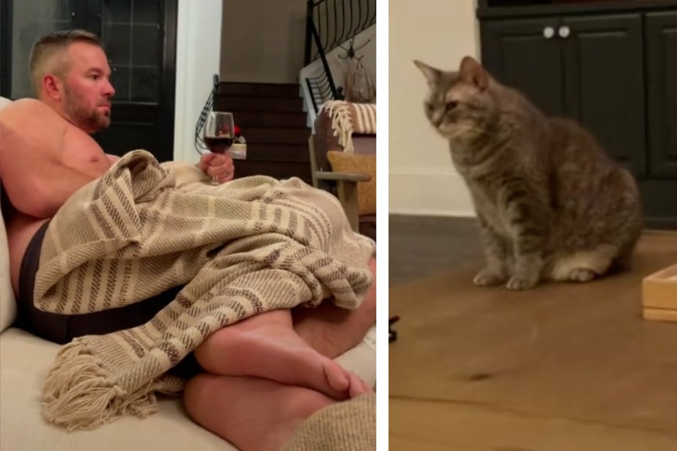 Wie diese Katze auf den Mann ihrer Besitzerin reagiert, bringt das Internet zum Toben