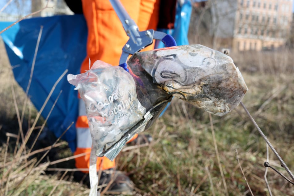 Im Kreis Pinneberg wird am Samstag in vielen Gemeinden gemeinschaftlich Müll gesammelt. Hanna ist "Feuer und Flamme". (Symbolfoto)