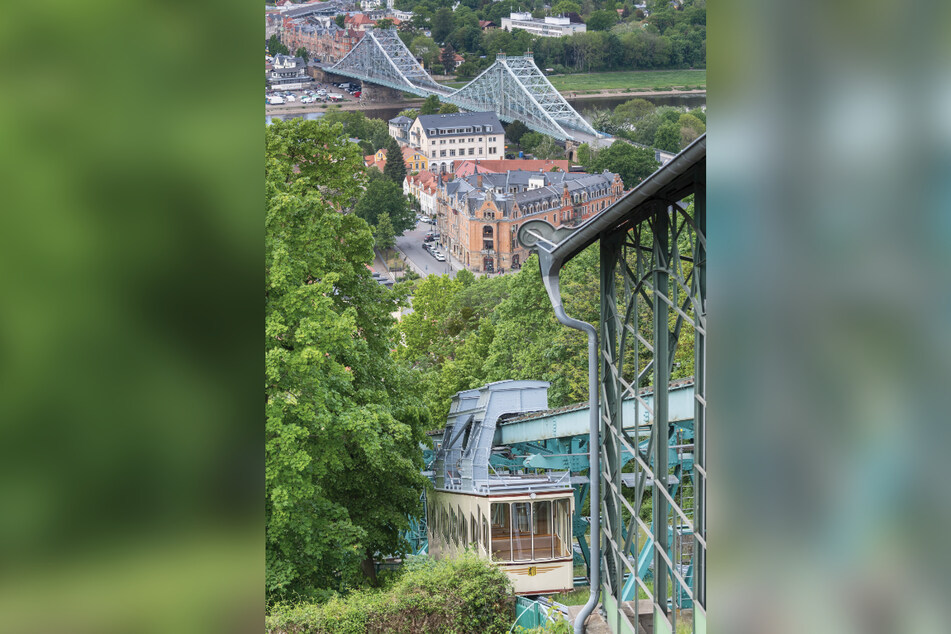 Seit 120 Jahren befördert die Schwebebahn am Loschwitzer Elbhang Einwohner und Touristen.