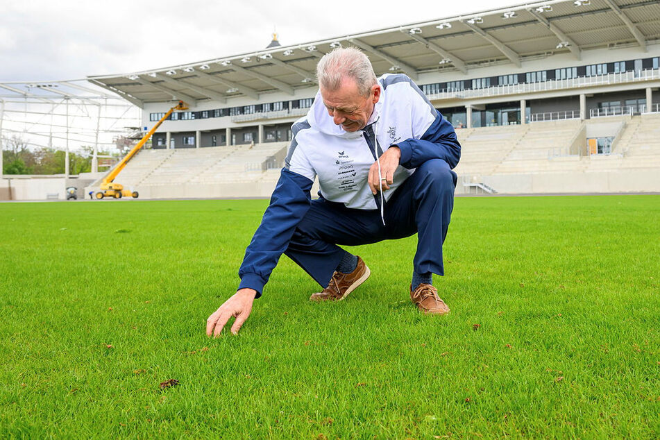 Der schon im August fertiggestellte Rasen wurde vom neuen Monarchs-Coach Greg Seamon unter die Lupe genommen.