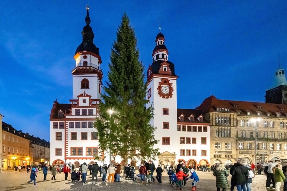 Auch der Weihnachtsbaum im vergangenen Jahr war nicht einfach zu finden.