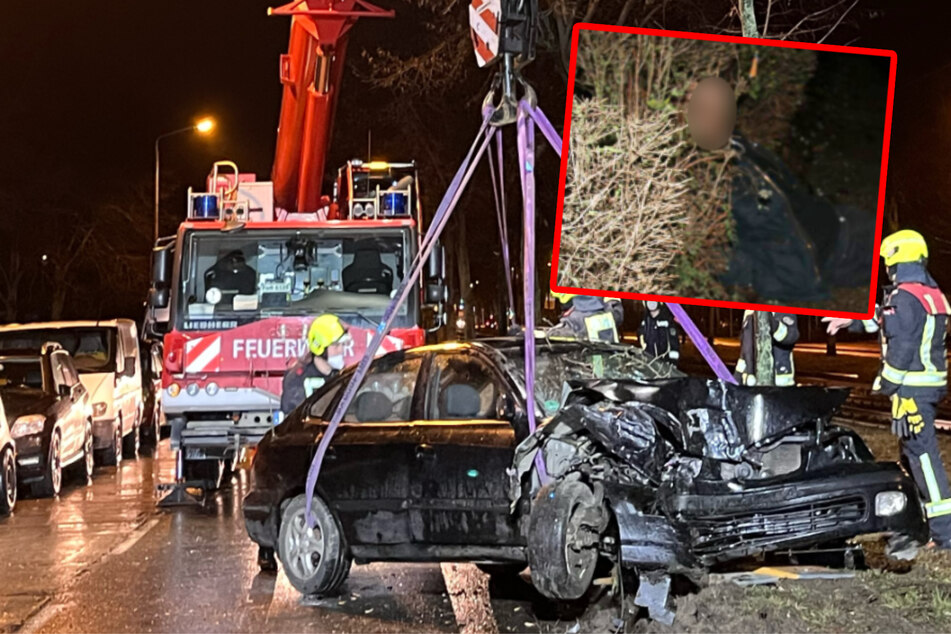 Baum-Crash mit kuriosem Ende: Fahrer wollte fliehen