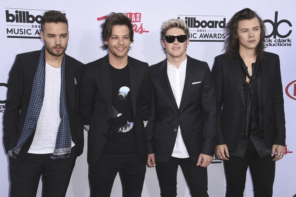 The band One Direction was one of the most famous artist groups in the world. In 2016, the four musicians went their separate ways.