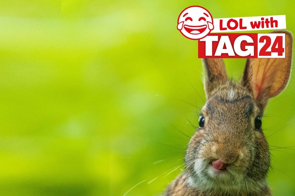 Joke of the Day for April 12, 2026: A laugh this Sunday Funday